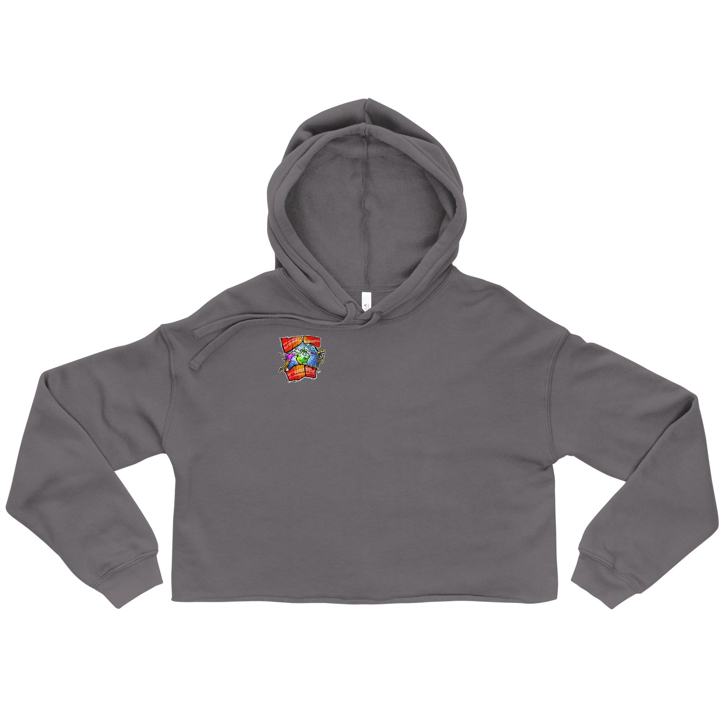 Full Color Logo Crop Hoodie